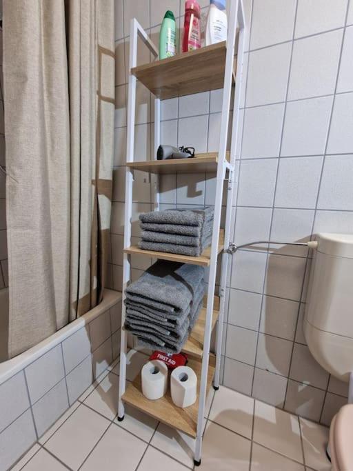 Grosszuegige Ferienwohnung 4+1 P. Büttelborn Εξωτερικό φωτογραφία